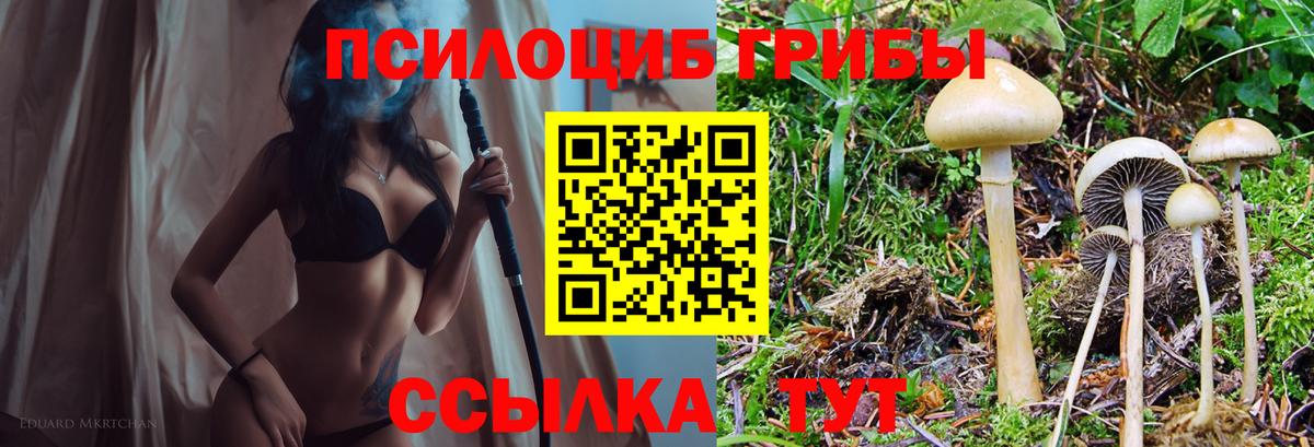 Галлюциногенные грибы Cubensis  Вход с VPN  Кириши 